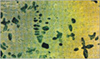 Nickel-based alloy include 15% Wc and 15% Co for bimetallic barrel